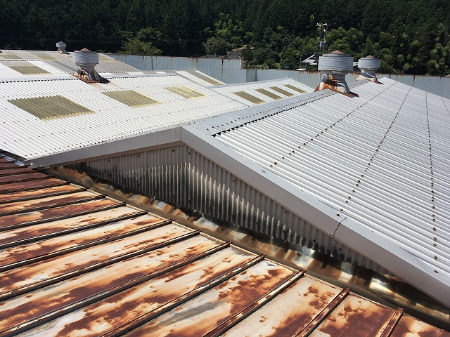 工場屋根の状態確認